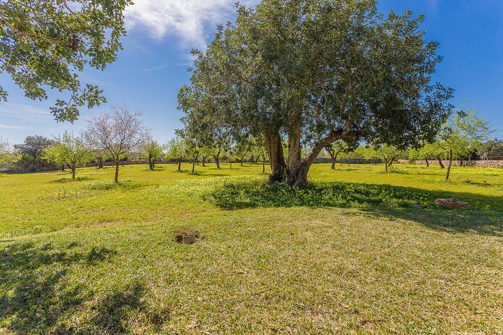 Finca Sa Foradada Cala D´Or Eksteriør bilde